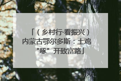 （乡村行·看振兴）内蒙古鄂尔多斯：土鸡“啄”开致富路