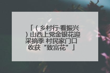 （乡村行·看振兴）山西上党金银花迎采摘季 村民家门口收获“致富花”