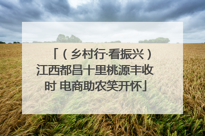 （乡村行·看振兴）江西都昌十里桃源丰收时 电商助农笑开怀