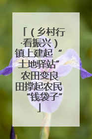 （乡村行·看振兴）镇上建起“土地驿站” 农田变良田撑起农民“钱袋子”