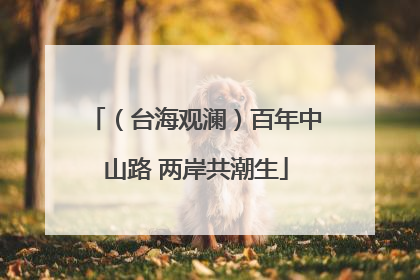 （台海观澜）百年中山路 两岸共潮生