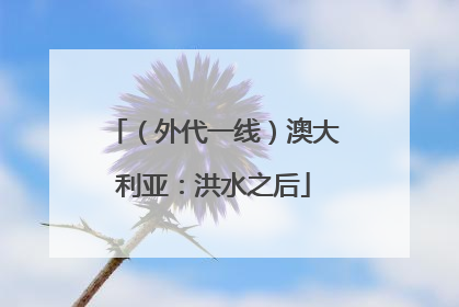 （外代一线）澳大利亚：洪水之后