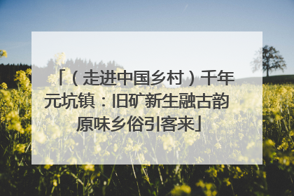（走进中国乡村）千年元坑镇：旧矿新生融古韵 原味乡俗引客来