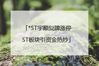 *ST宇顺复牌涨停 ST板块引资金热炒