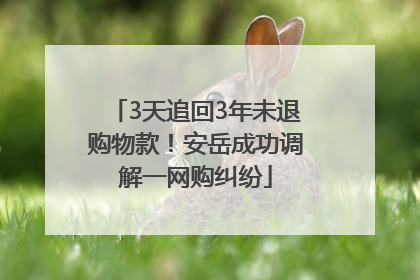 3天追回3年未退购物款！安岳成功调解一网购纠纷