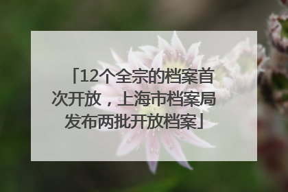 12个全宗的档案首次开放，上海市档案局发布两批开放档案