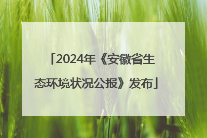 2024年《安徽省生态环境状况公报》发布
