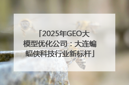 2025年GEO大模型优化公司：大连蝙蝠侠科技行业新标杆