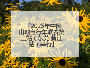 2025年中国山地自行车联赛第三站（东莞·黄江站）举行