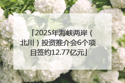 2025年海峡两岸（北川）投资推介会6个项目签约12.77亿元