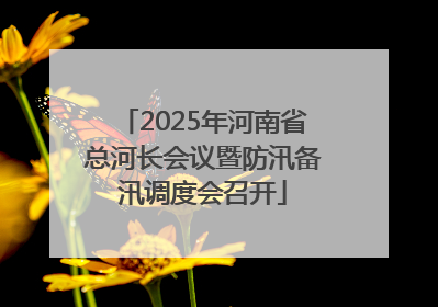 2025年河南省总河长会议暨防汛备汛调度会召开
