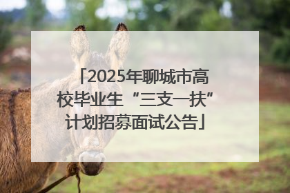 2025年聊城市高校毕业生“三支一扶”计划招募面试公告