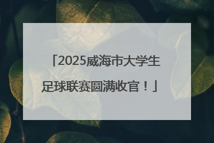 2025威海市大学生足球联赛圆满收官！