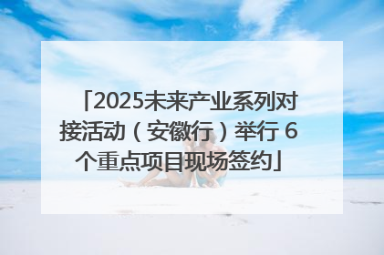 2025未来产业系列对接活动（安徽行）举行 6个重点项目现场签约