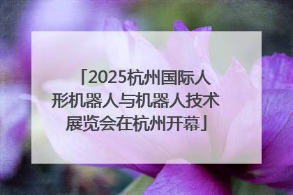 2025杭州国际人形机器人与机器人技术展览会在杭州开幕