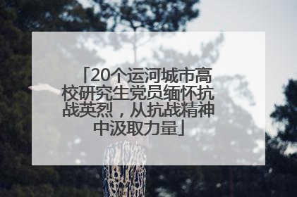 20个运河城市高校研究生党员缅怀抗战英烈，从抗战精神中汲取力量