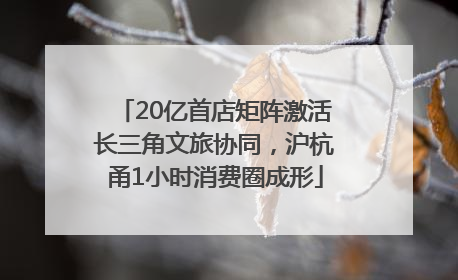 20亿首店矩阵激活长三角文旅协同，沪杭甬1小时消费圈成形