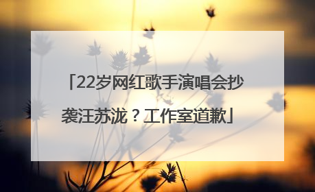 22岁网红歌手演唱会抄袭汪苏泷？工作室道歉