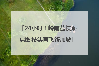24小时！岭南荔枝乘专线 枝头直飞新加坡