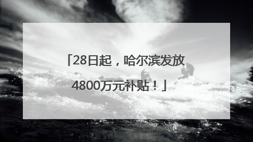 28日起，哈尔滨发放4800万元补贴！