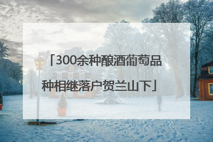 300余种酿酒葡萄品种相继落户贺兰山下