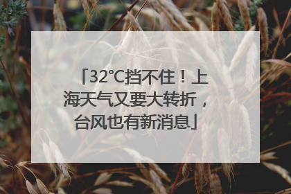 32℃挡不住！上海天气又要大转折，台风也有新消息