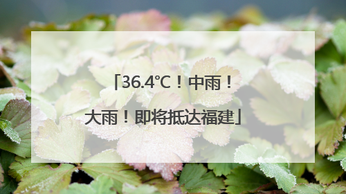 36.4℃！中雨！大雨！即将抵达福建