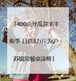 400亩丝瓜迎来丰收季 日供3万斤为沪苏锡常餐桌添鲜