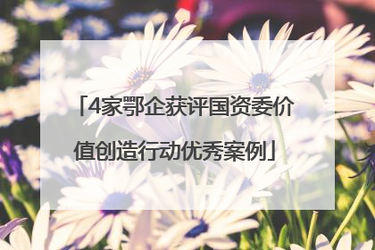 4家鄂企获评国资委价值创造行动优秀案例