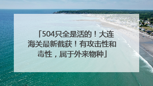 504只全是活的！大连海关最新截获！有攻击性和毒性，属于外来物种