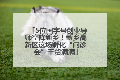5位国字号创业导师空降新乡！新乡高新区这场孵化“问诊会”干货满满