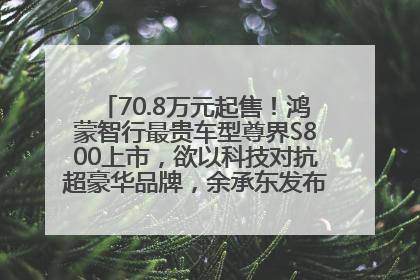 70.8万元起售！鸿蒙智行最贵车型尊界S800上市，欲以科技对抗超豪华品牌，余承东发布会未提及迈巴赫