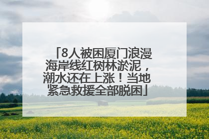8人被困厦门浪漫海岸线红树林淤泥，潮水还在上涨！当地紧急救援全部脱困