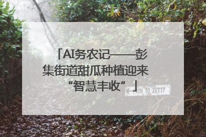 AI务农记——彭集街道甜瓜种植迎来“智慧丰收”
