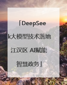 DeepSeek大模型技术落地江汉区 AI赋能智慧政务