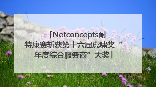 Netconcepts耐特康赛斩获第十六届虎啸奖“年度综合服务商”大奖