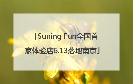 Suning Fun全国首家体验店6.13落地南京
