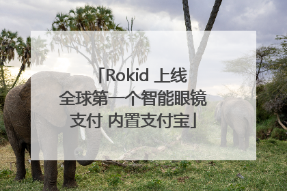 Rokid 上线全球第一个智能眼镜支付 内置支付宝